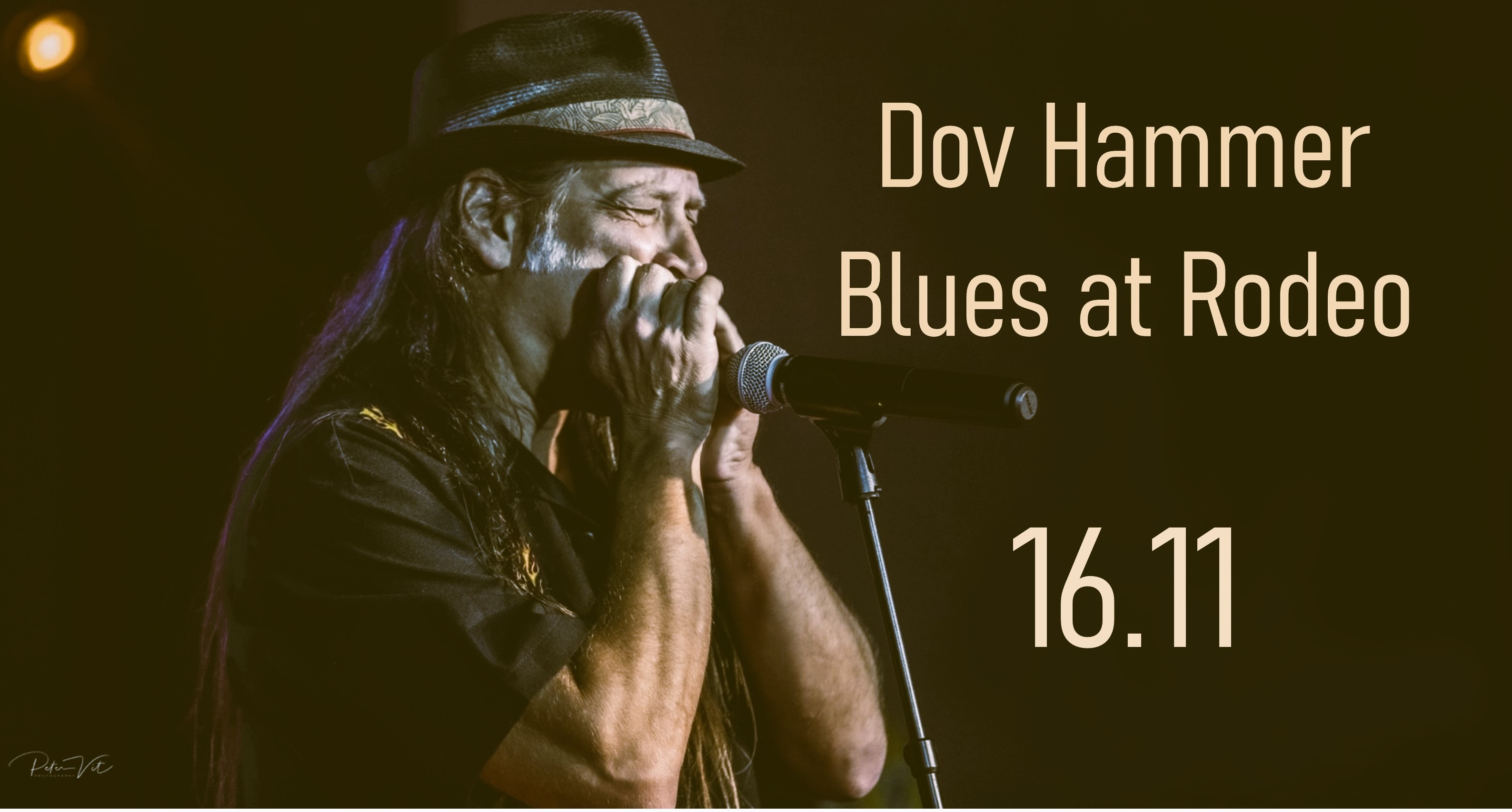 Dov Hammer & band at Rodeo
